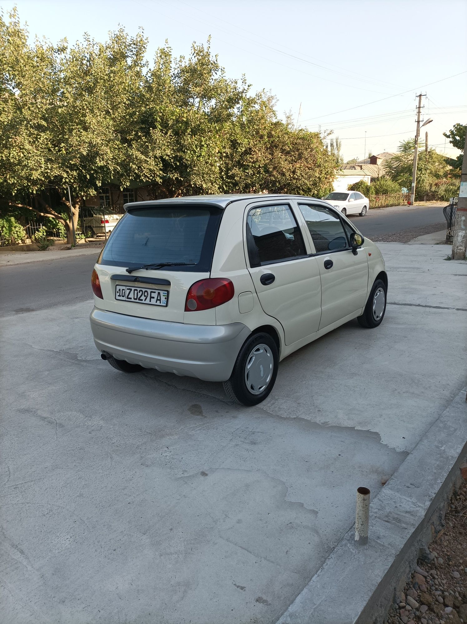 Mattiz mx xolati yaxw
