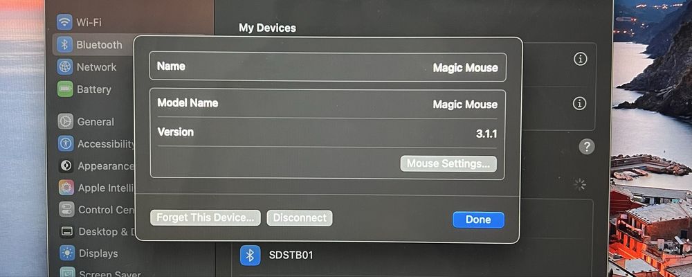 Macbook Air M1 13.3' ; 256GB + Apple Magic Mouse 3