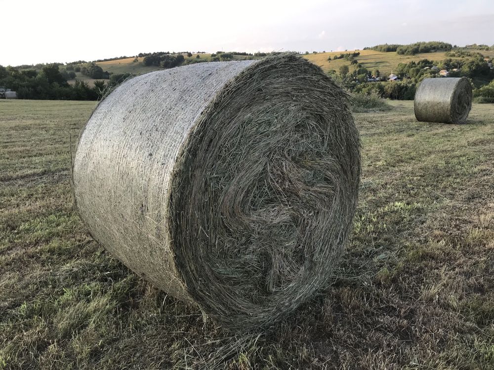 Baloți rotunzi fân pe plasă