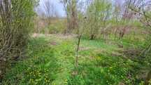 Teren intravilan/extravilan si paduri in Fartatesti, judetul Valcea
