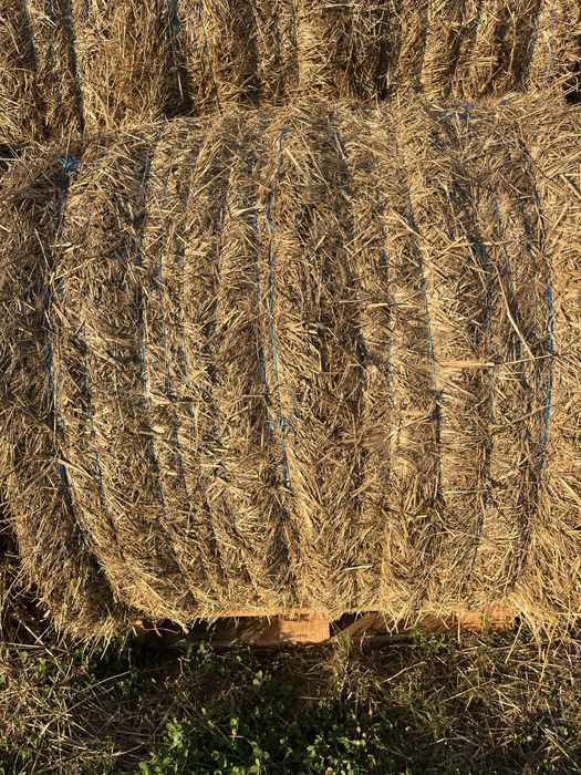 Vand grau si baloti paie