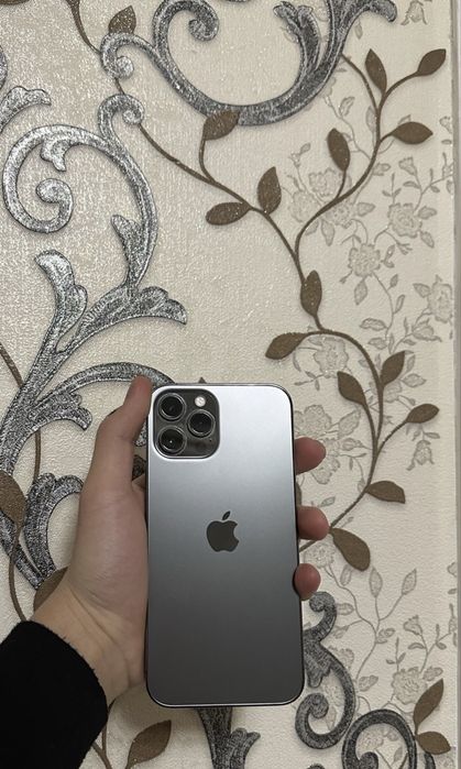 iphone 12 pro max
