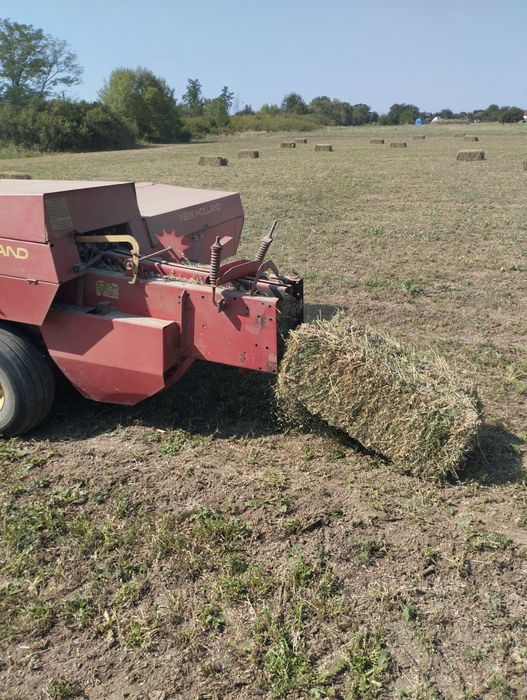 Vând baloți lucernă coasa 2-3-4