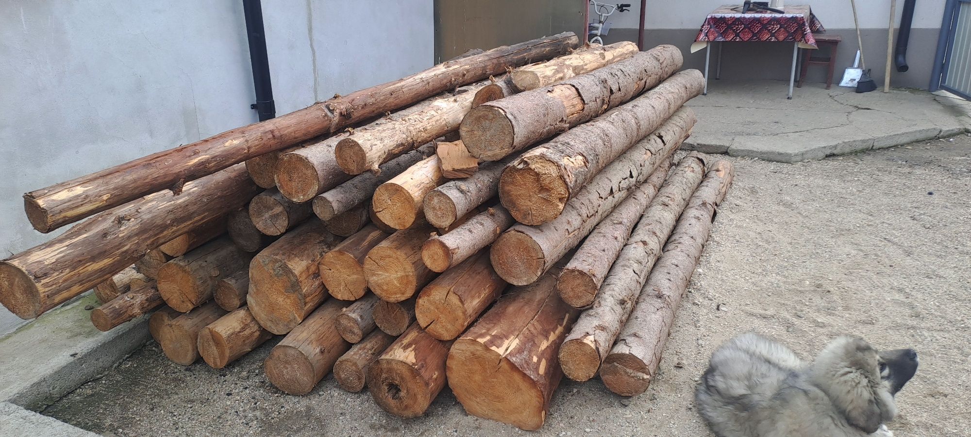 Bile de brad pentru construcții foisoare/terase
