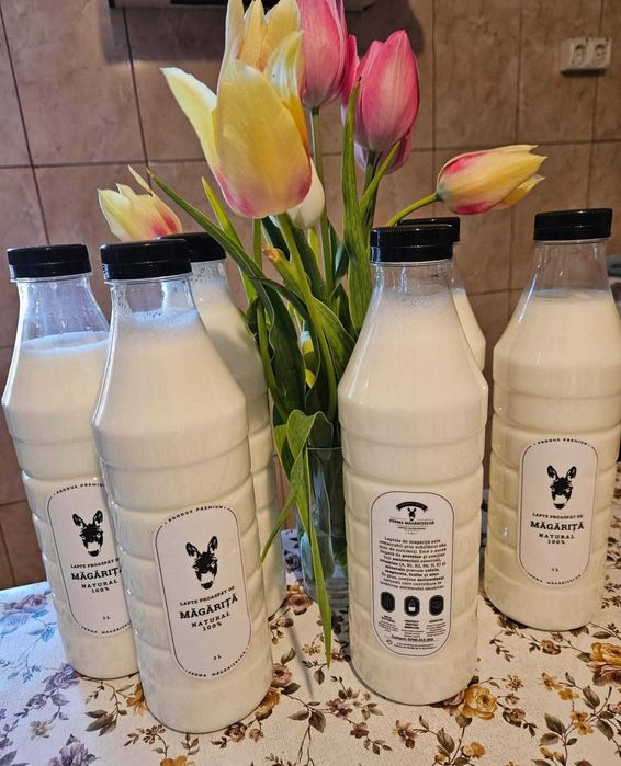 Vand lapte proaspăt de magarita