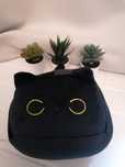 Plus pisica neagra 25cm