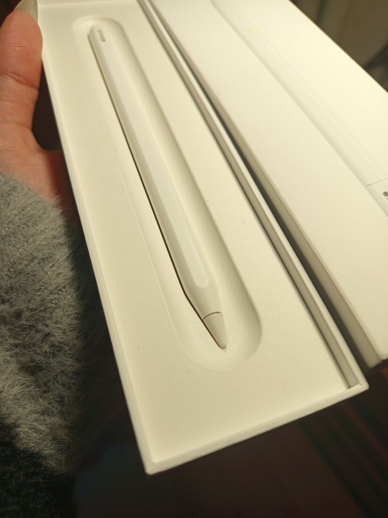 Apple pencil USB-C
