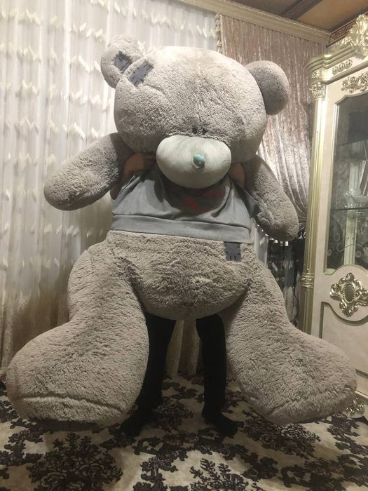 Teddy ayiq kattasi, yangi