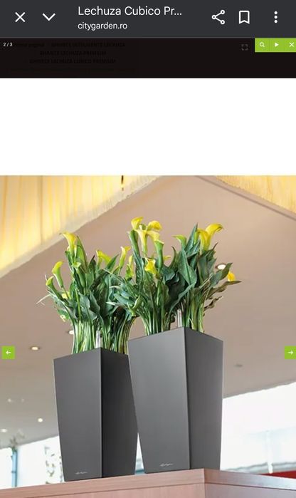 Ghiveci Lechuza cubico