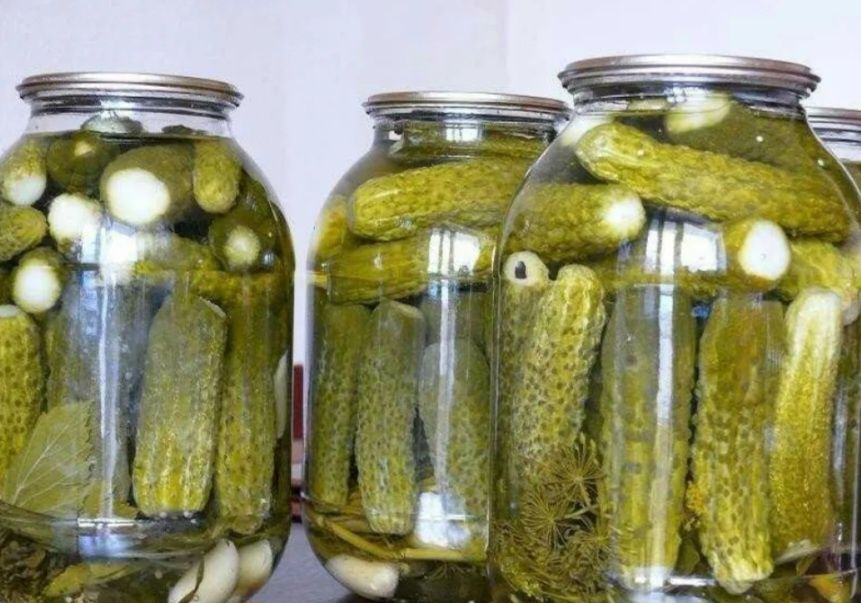 Домашние огурцы...