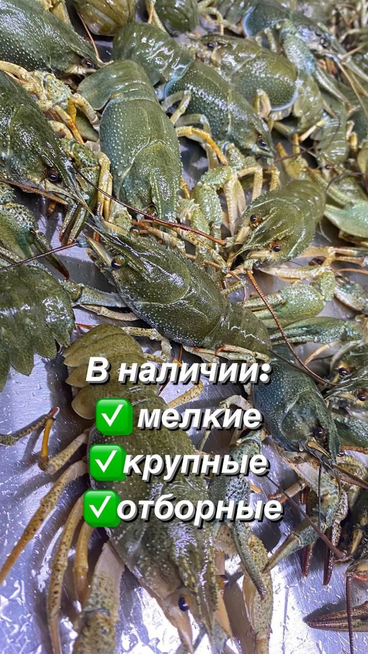 Раки по супер ценам