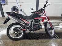 Эндура almotor g250