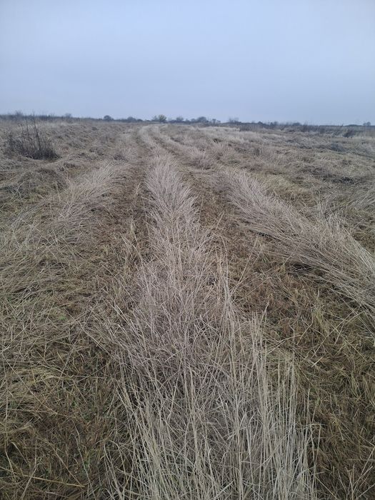 Baloți de fân,iarbă!disponibil 100 de bucăți!!