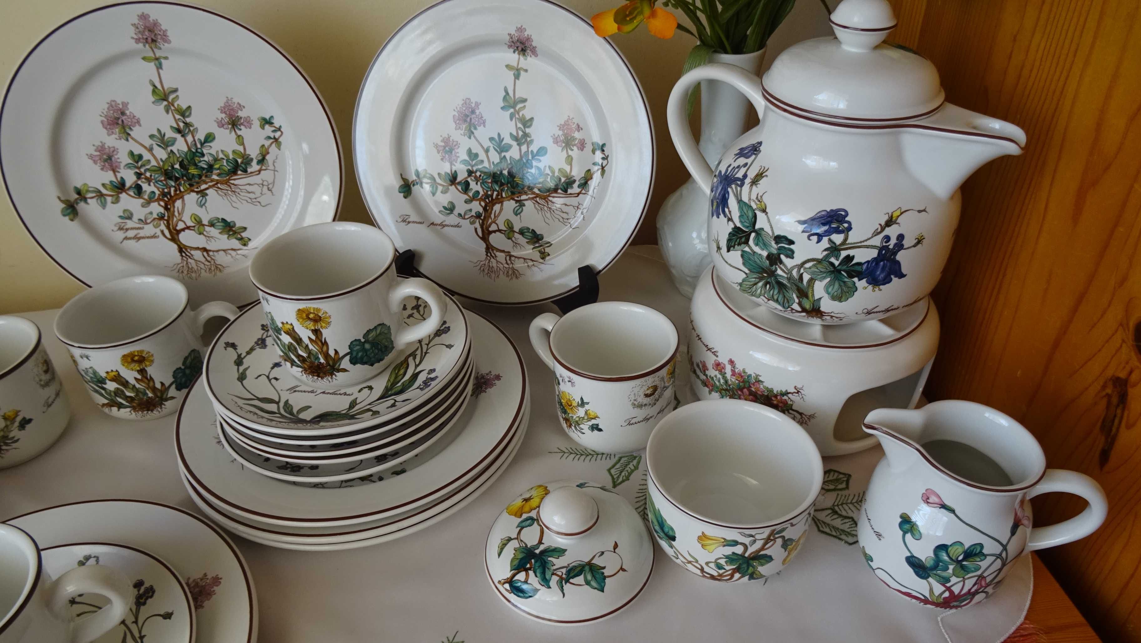 Бавария сервиз за чай/кафе, Villeroy & Boch Botanica vintage 22части.