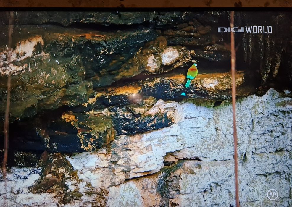 TV LG LED FULL HD, diagonala 106 cm