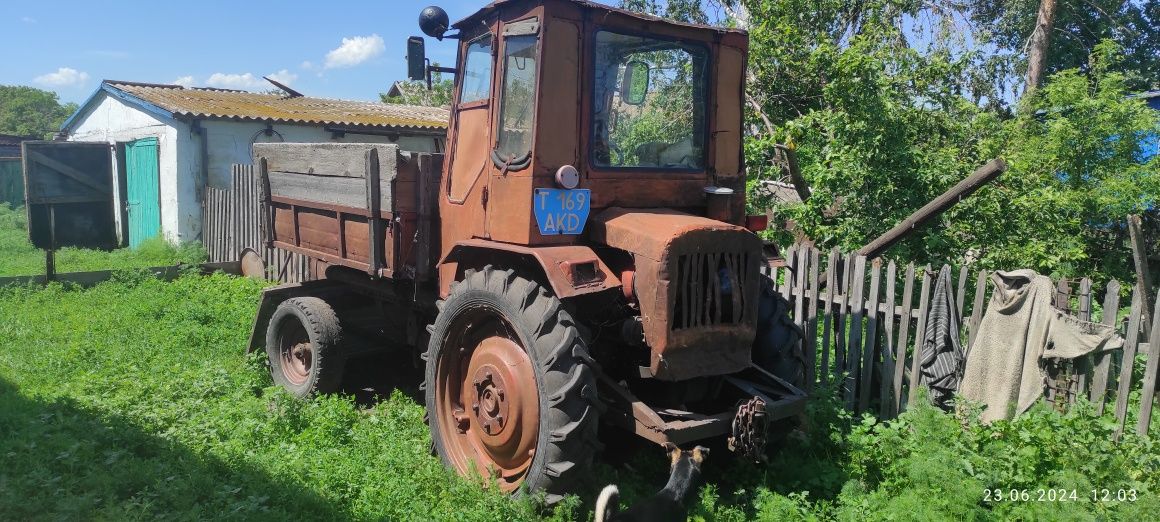 Продам трактор Т-16 попрошайка