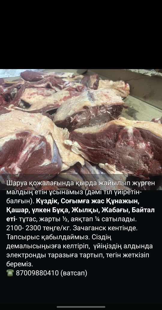ет Байтал, ту Бие, Жабағы, Қашар, Құнажын, Түйе  еті