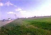 Teren zona Siret