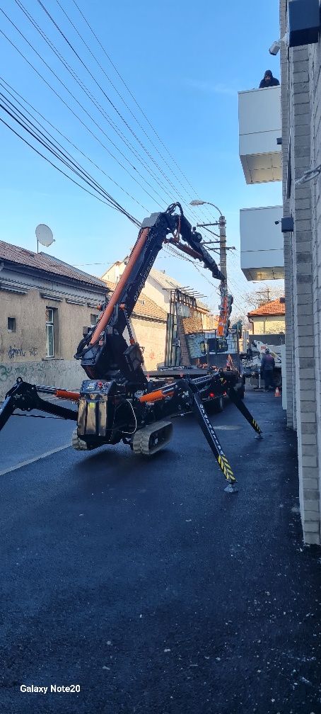 Macara spider/ minimacara