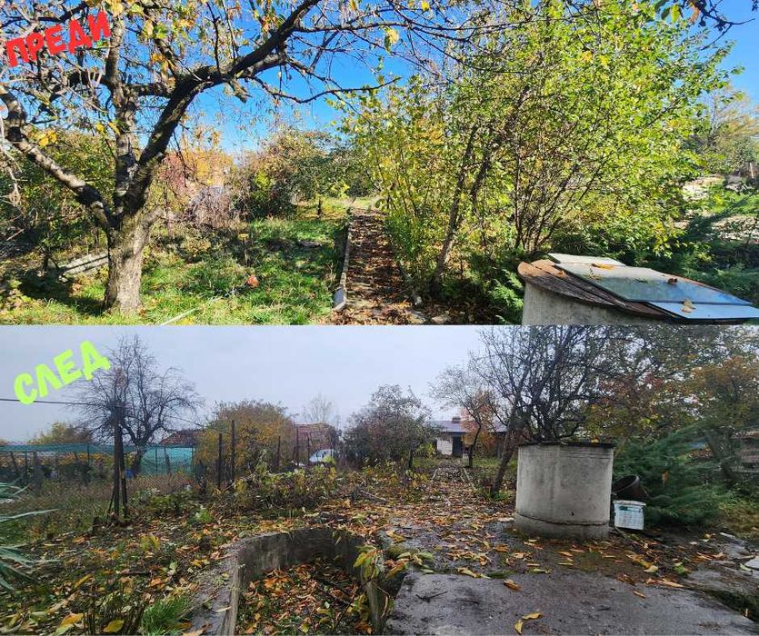 Почистване на Дворове и Зелени Площи / Поддръжка