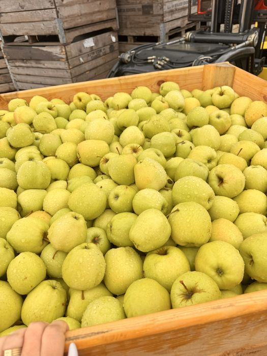 Vand mere calitatea 1