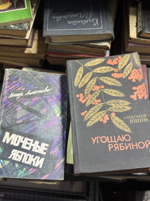 Книги ассортимент