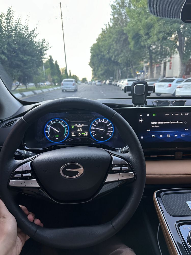 Gac Aion s580 кора