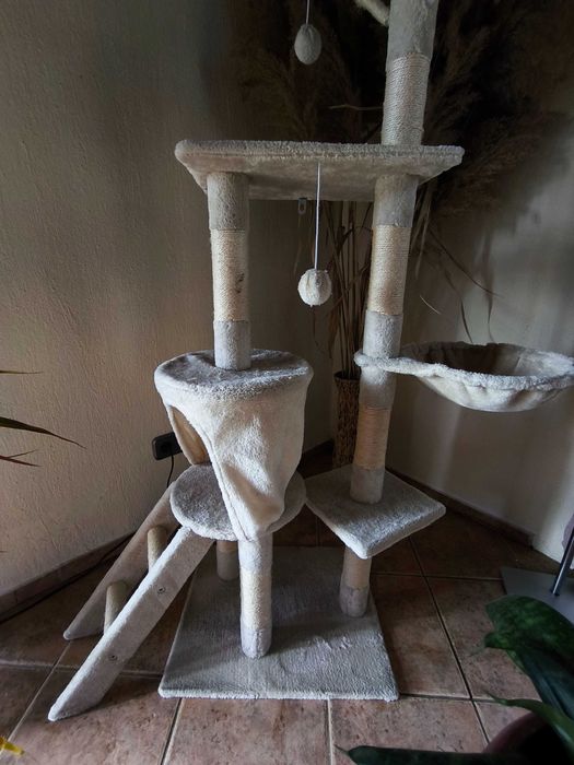 Катерушка за Коте