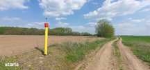 TEREN INTRAVILAN, 16.872 mp - tarla T20, Barbuceanu, DB
