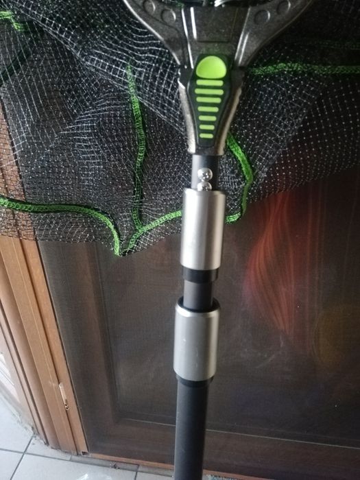 Mincioguri Sanger Max Forcer NEW 2021