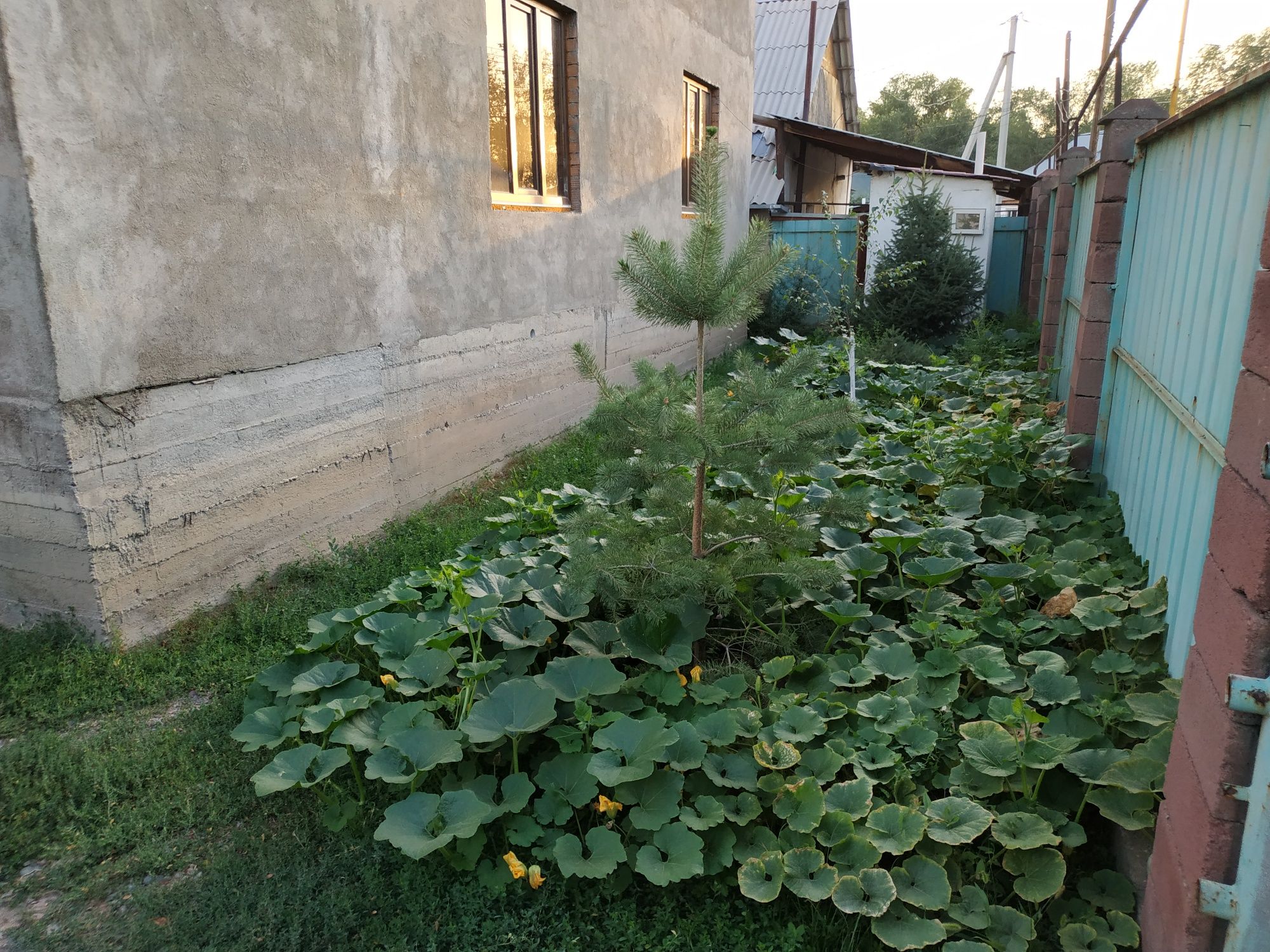 Срочноо продаются два дома