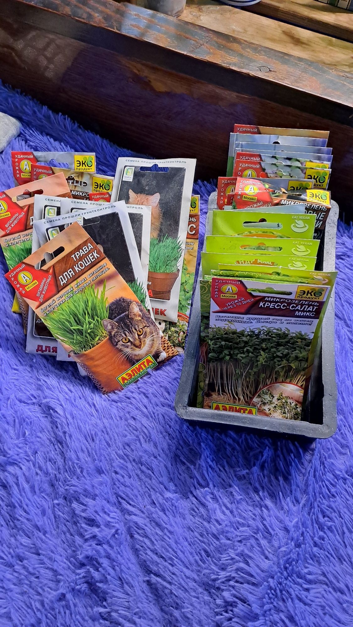 продам семена микрозелени
