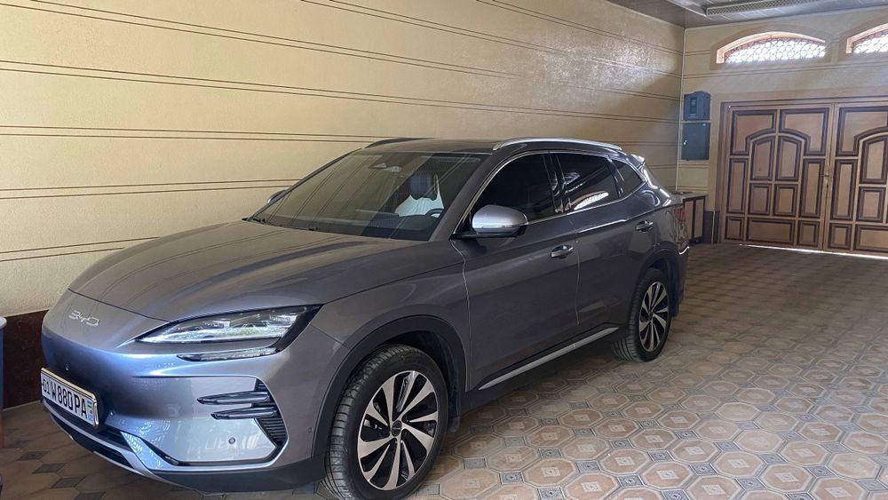 BYD. Чинпийон. . 605.