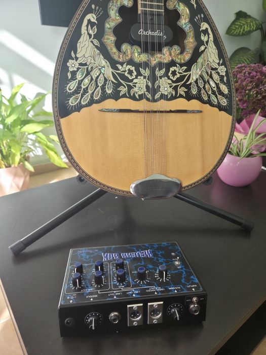 Reverb box Бузуки