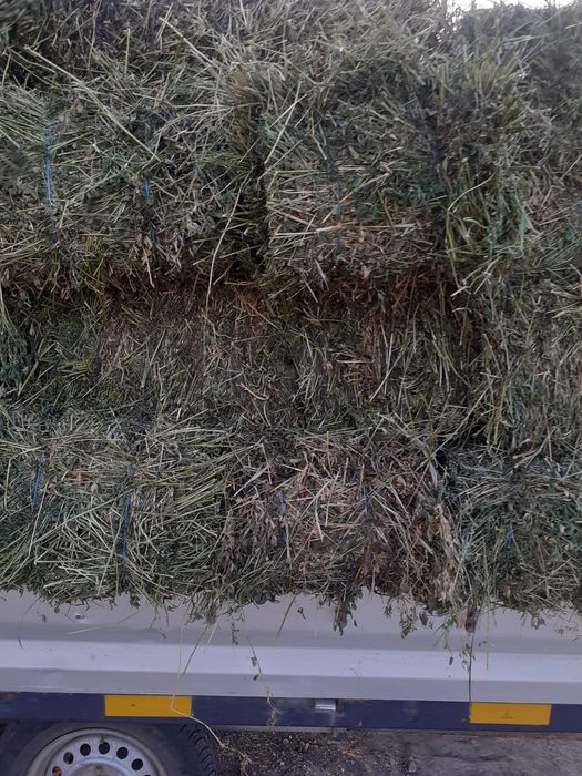 Baloți lucerna și otava