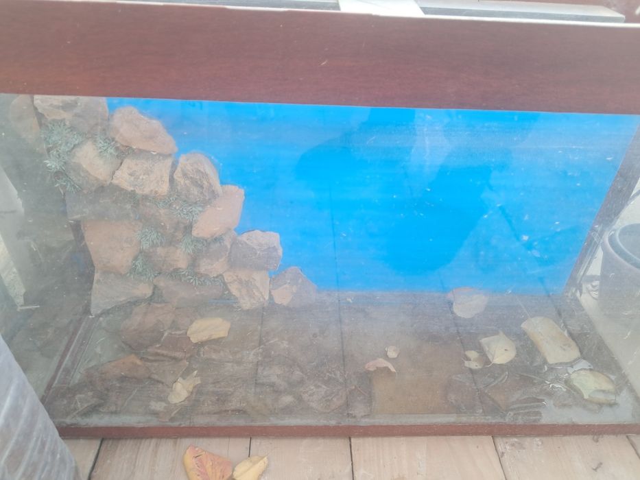 2 ta Akvarium Sotiladi