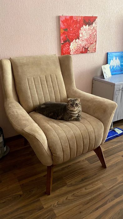 Продам кресло, состояние отличное.