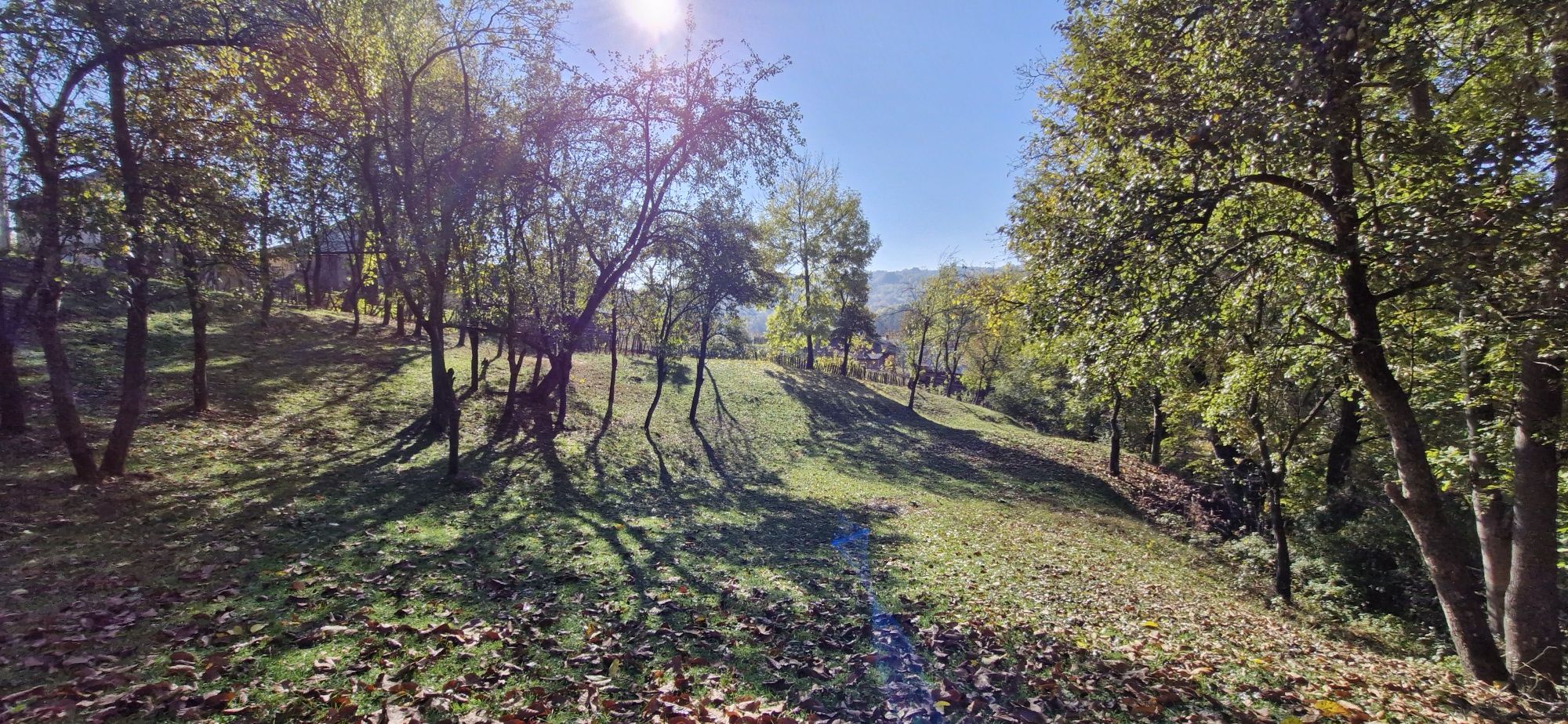 Teren la munte Intravilan 1600mp Arefu-Arges (Transfăgărășan) 17eur/mp