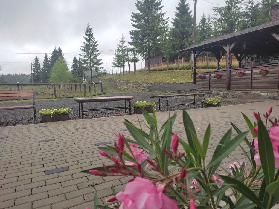 Cabana de inchiriat, Tihuta - Piatra Fantanele