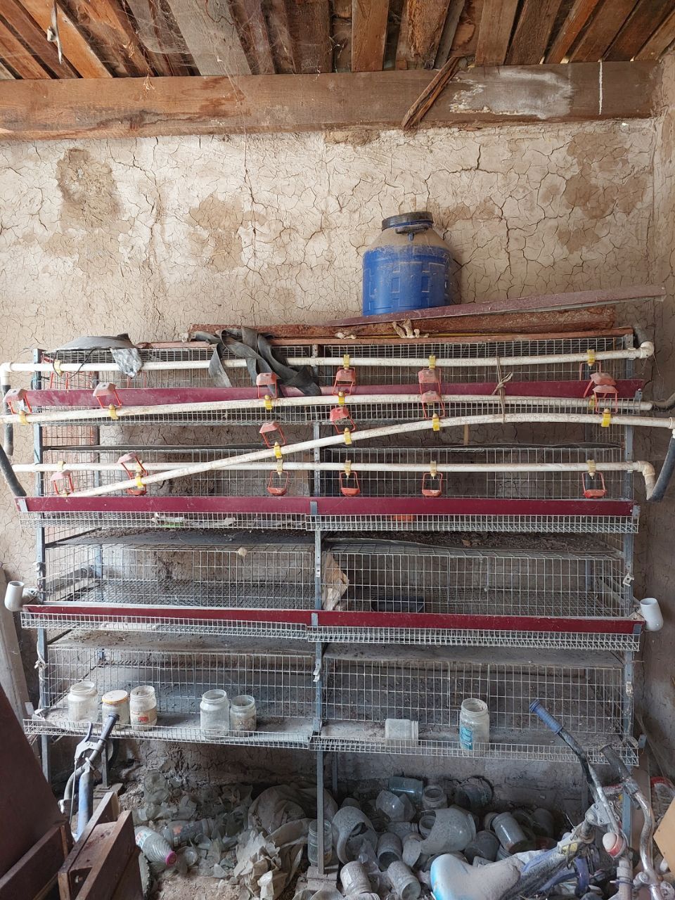 Bedana qafas sotiladi