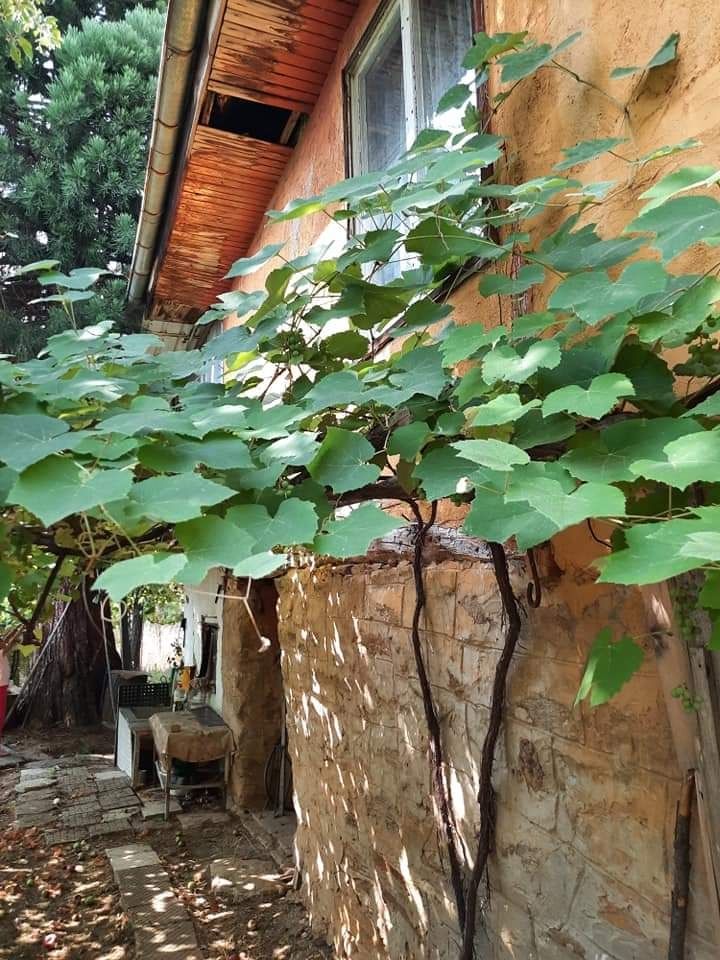 Продава се Къща в София, Надежда 1 - 83 кв.м за 338 €/кв.м - Снимка #8