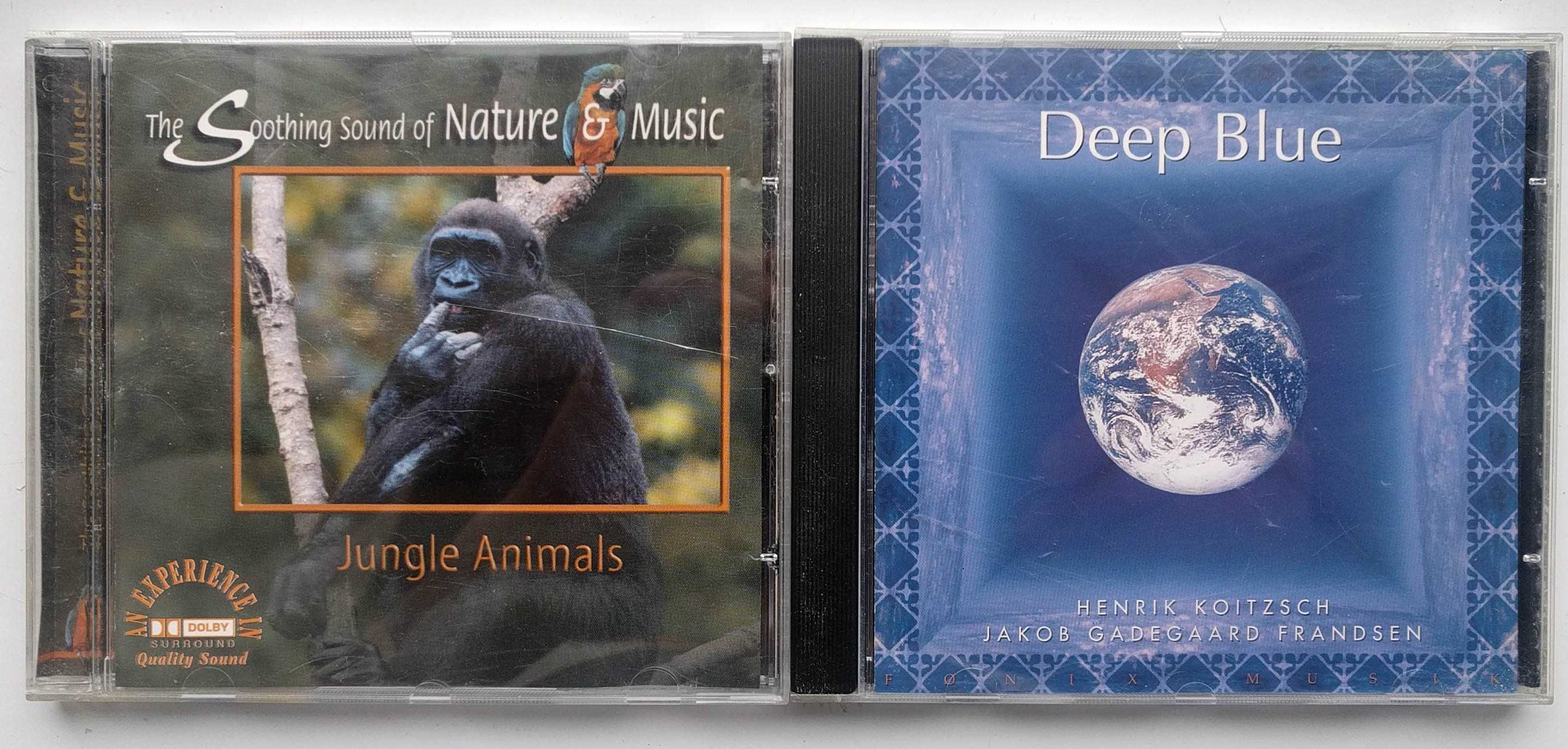 Vand CDuri muzica ambientala si religioasa