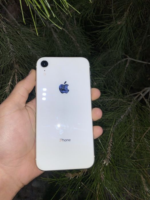 Iphone xr  ideal