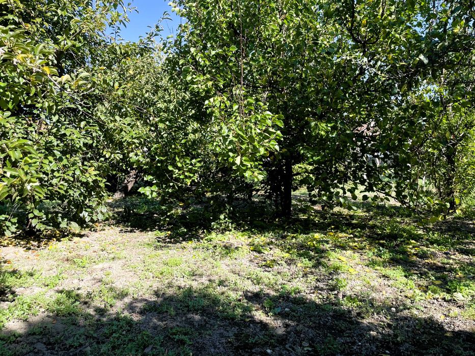 Ready to move in casă de lut cu caracter autentic in UNGARIA 4135