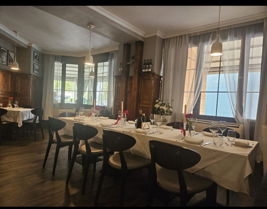 Vila,Decebal-Dristorului tradal