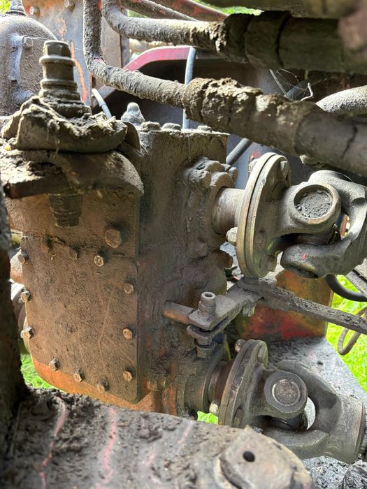 Taf u 650 forestier