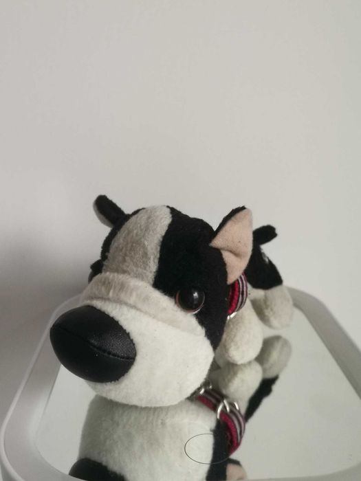 5 Catei de plus de colectie The Dog
