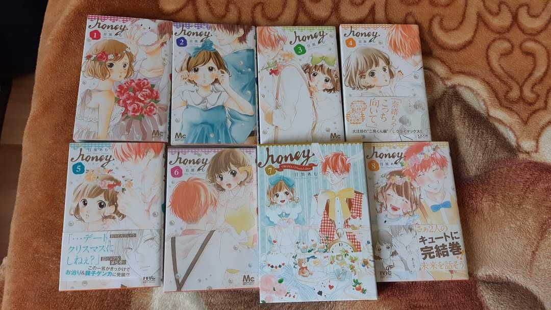 SHOUJO Manga in Japoneza Honey, Meguro Amu