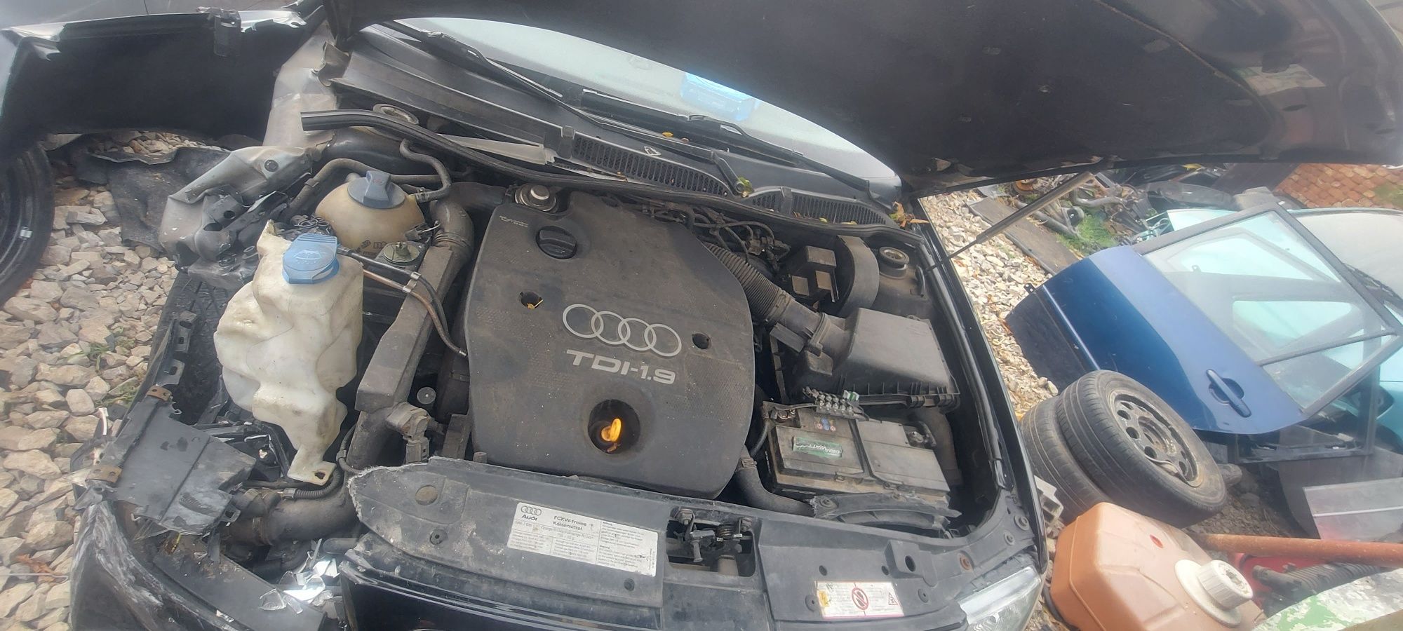 Audi a3 8l на части