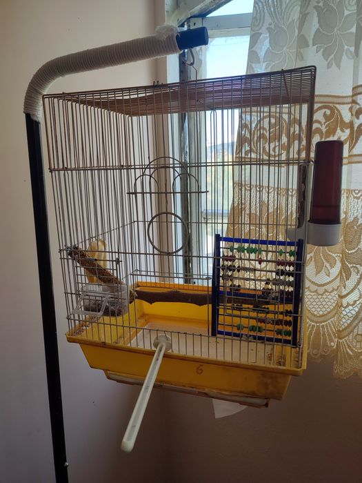 Продаются клетки для попугаев
